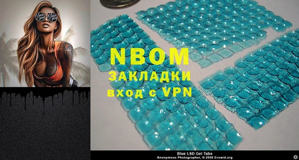 прущие грибы Каменногорск