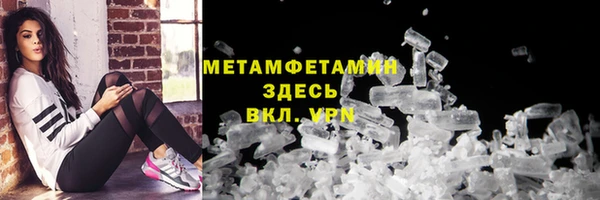 прущие грибы Каменногорск