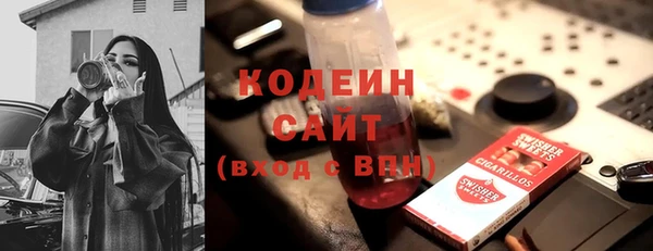 прущие грибы Каменногорск