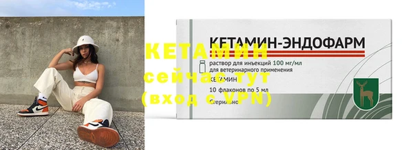 прущие грибы Каменногорск