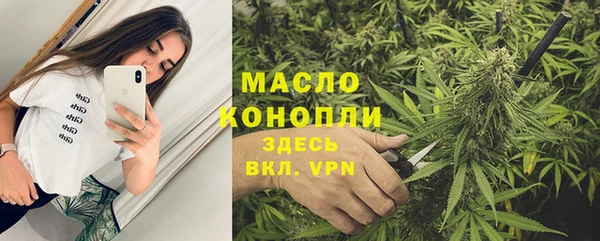 прущие грибы Каменногорск