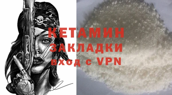 прущие грибы Каменногорск