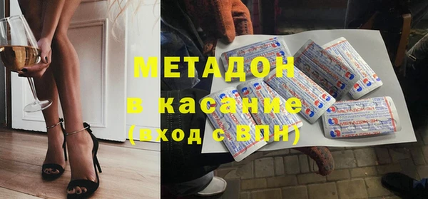 прущие грибы Каменногорск