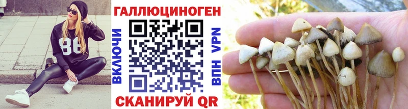Купить  Менделеевск  Галлюциногенные грибы Magic Shrooms 